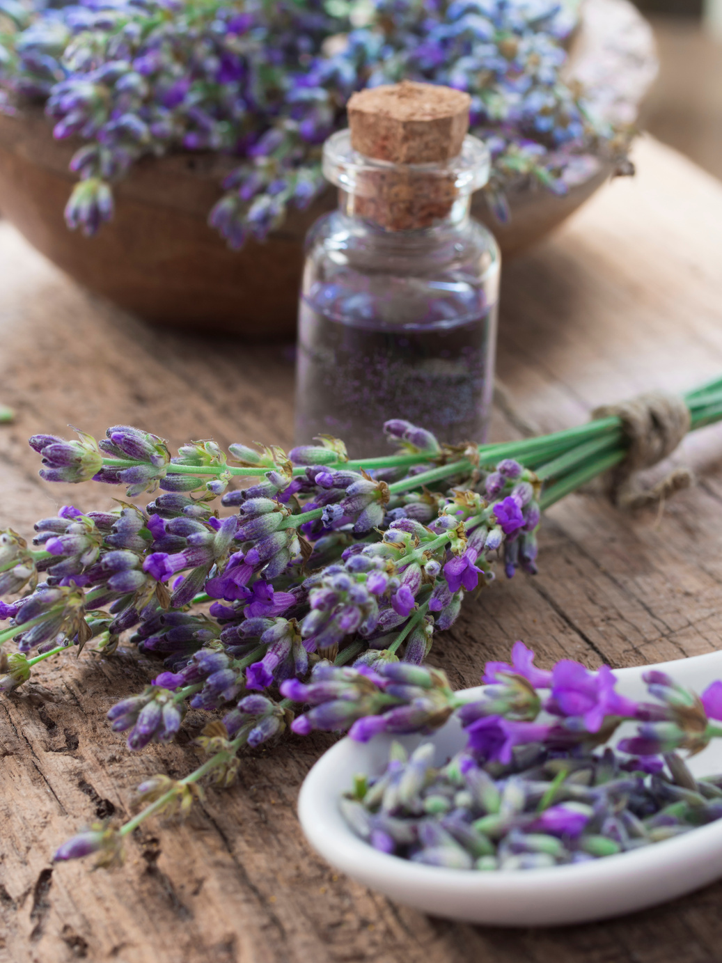 lavender oil