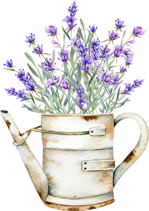 Watercolor Lavender Illustration, Provence Lavender Bouquet